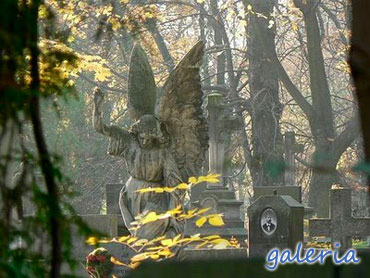 Cmentarz Stary w odzi